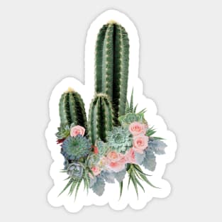 Succulents plants and pink roses Sticker